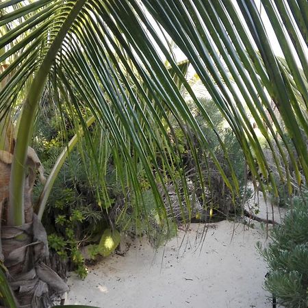 Eco Lodge Hotel Villa Tulum Esterno foto
